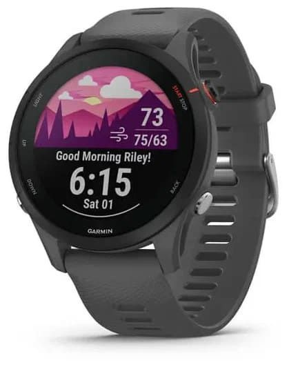 Garmin Умные часы Forerunner 255, 46mm, сланцево-серый #1