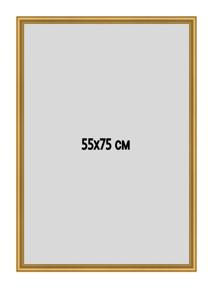 Фоторамка металлическая (алюминиевая) золотая для постера, фотографии, картины 55х75 см. Рамка для зеркала. #1