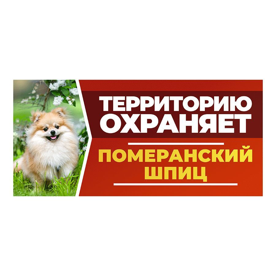 Табличка, DANGER DOG, Померанский шпиц, на забор, 30см х 14см #1