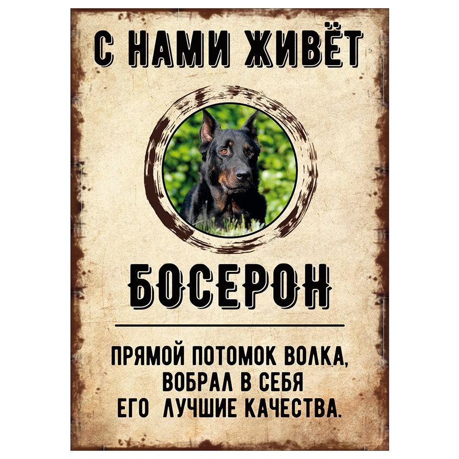 Табличка, декоративная, DANGER DOG, С нами живет Босерон, 18см х 25см  #1