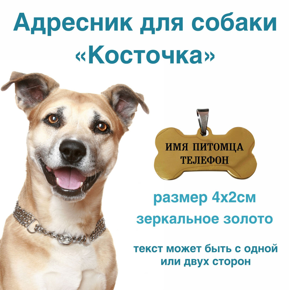 Адресник-жетон для собак с гравировкой (нержавейка с покрытием "зеркальное золото")  #1