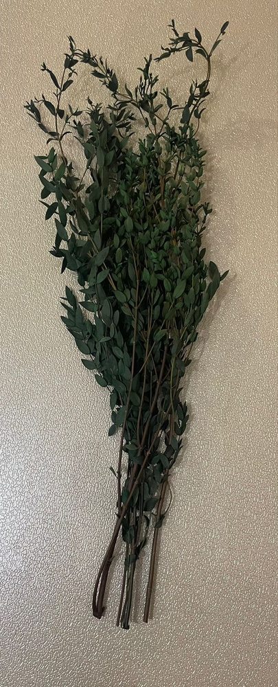 Стабилизированные цветы Эвкалипт, 2 см, 100 гр, 1 шт #1