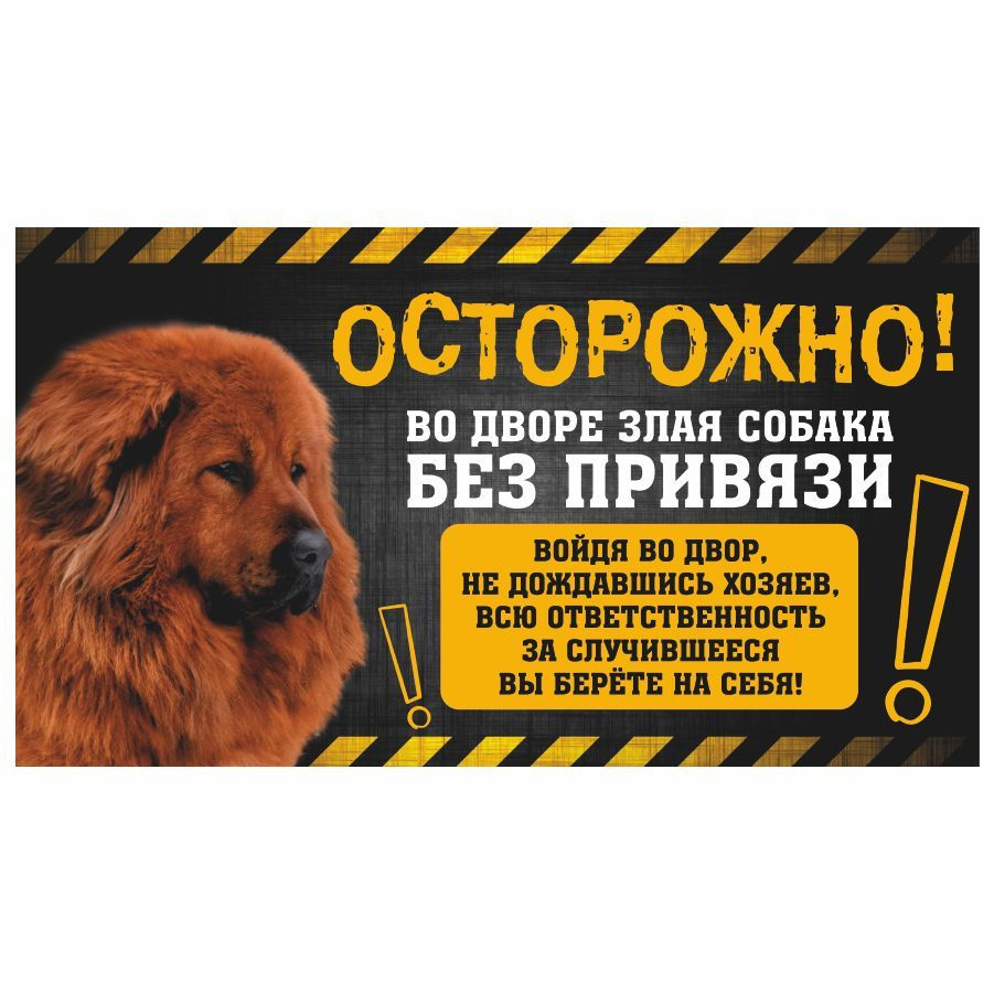 Табличка, с юмором, прикол, DANGER DOG, Осторожно! Во дворе собака без привязи, Тибетский мастиф, 25x14 #1