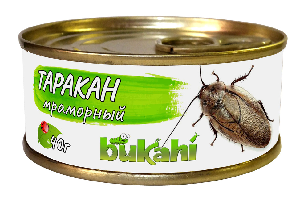Таракан мраморный консервированный Bukahi, 40гр. / Влажный корм для насекомоядных животных, птиц и рептилий #1