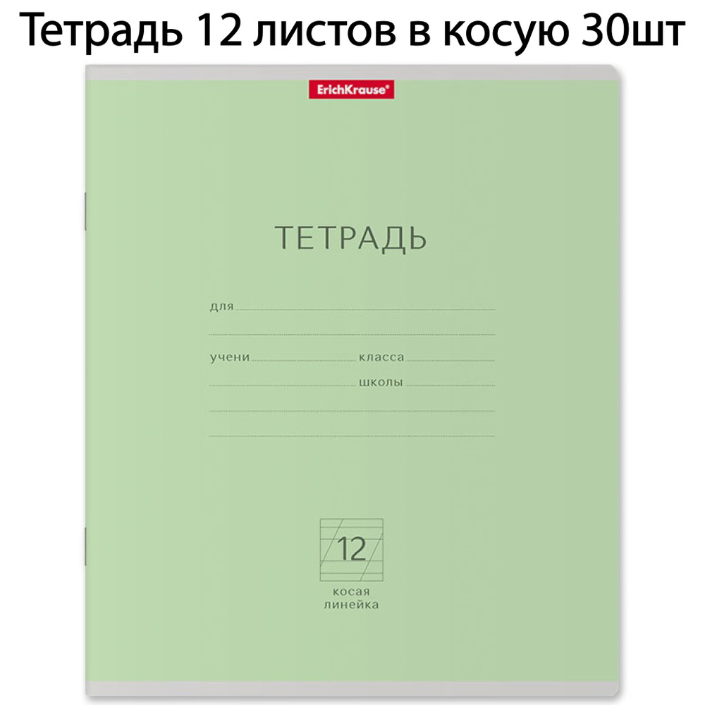 ErichKrause Тетрадь A5 (14.8 × 21 см), 30 шт., листов: 12 #1