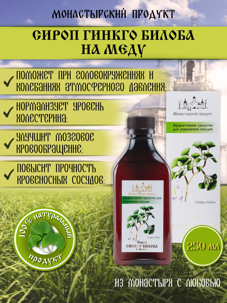 Сироп Гинкго Билоба на меду 250 мл, Монастырский продукт, натуральное средство для профилактики и укрепления #1