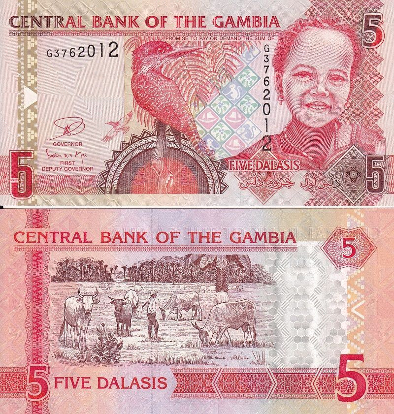 Банкнота номиналом 5 даласи. Гамбия. 2013 год #1