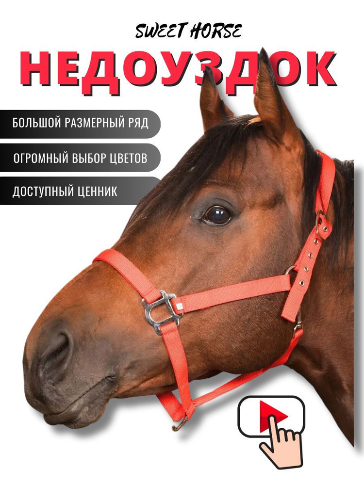 Sweethorse / Недоуздок для лошади и пони COB #1