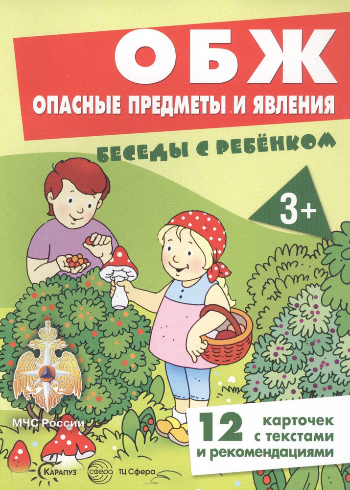 ОБЖ. Опасные предметы и явления. Беседы с ребенком. 12 карточек с текстами и рекомендациями  #1