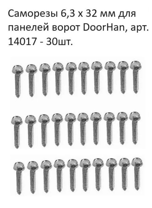 Саморез 6,3 х 32 мм для панелей ворот (DoorHan) - 30шт. #1