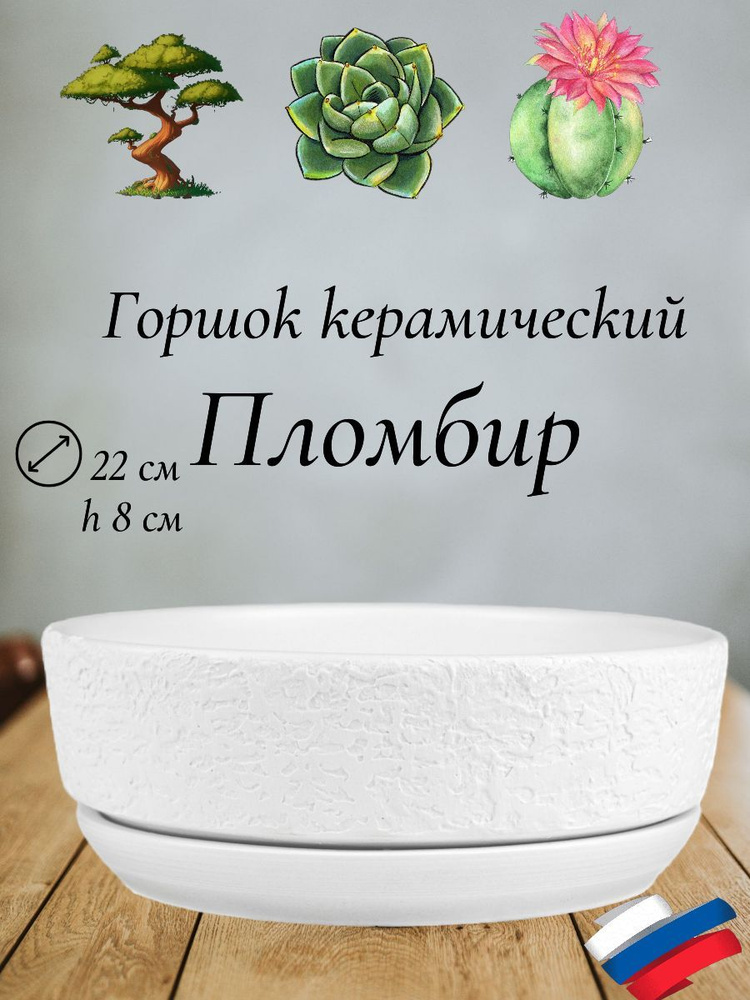 Керамический горшок "Пломбир" для бонсай, кактусов и суккулентов, диаметр 22 см, высота 8 см  #1