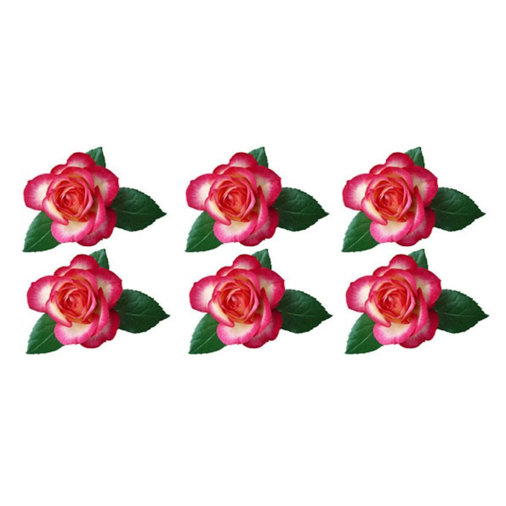 Вафельные цветочки Роза с листочками 6 см (6 шт) #1