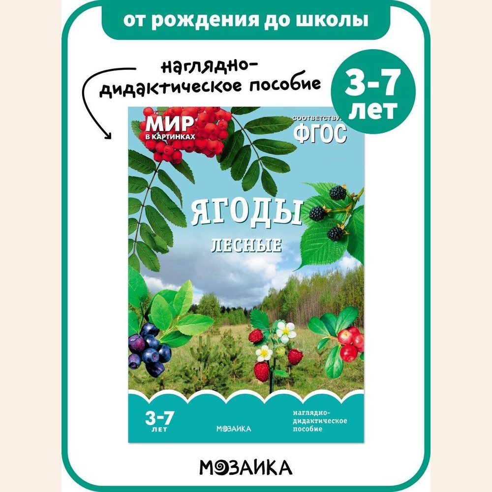 Мир в картинках. Ягоды лесные. Наглядно-дидактическое пособие в папке | Минишева Т.  #1