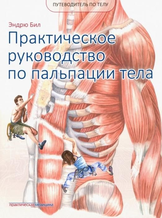 Путеводитель по телу. Практическое руководство по пальпации тела | Бил Эндрю  #1