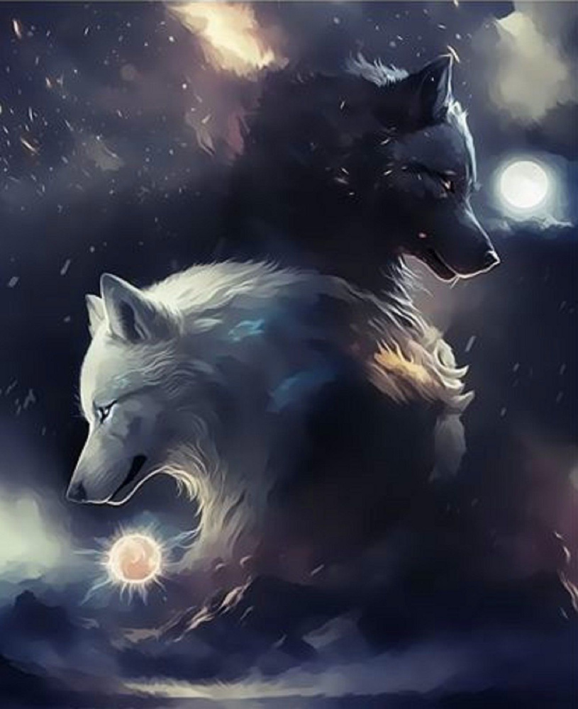 Картина по номерам на холсте с подрамником, живопись (размер 40х50 см) Волк и волчица  #1