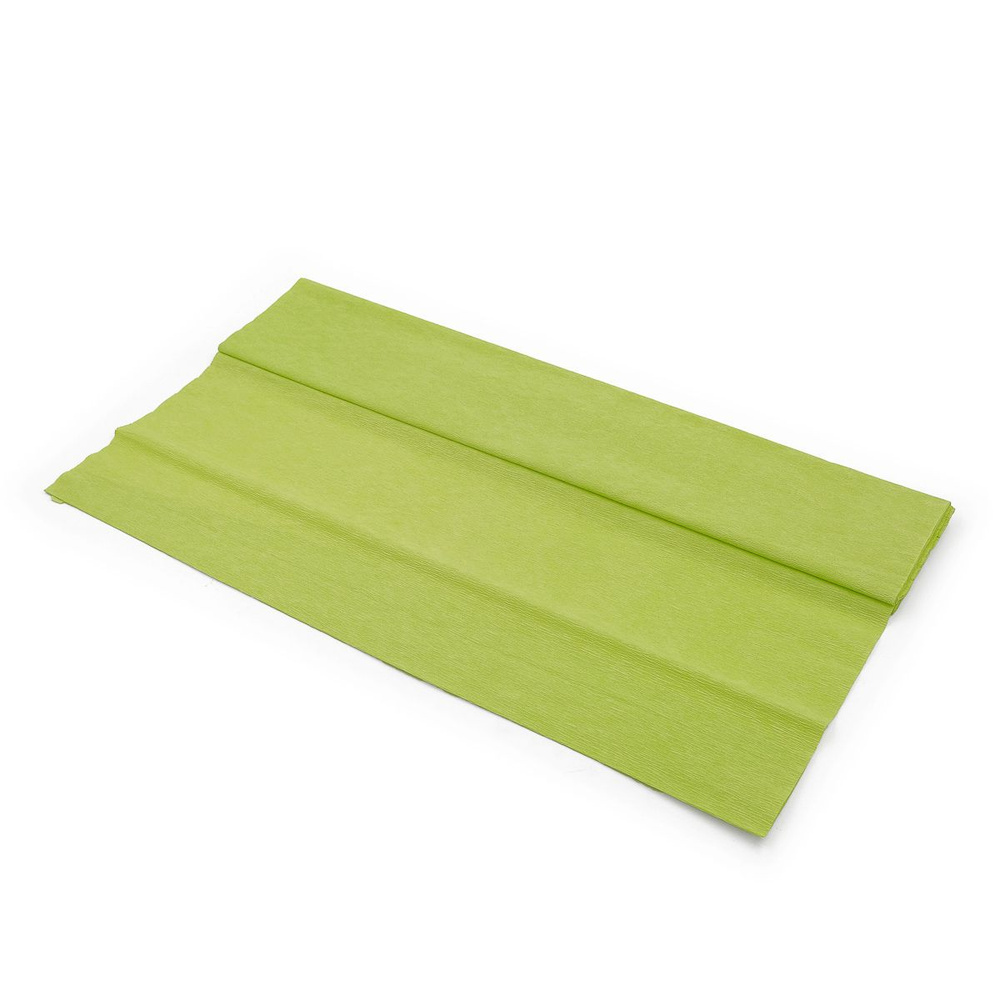 Бумага креповая упаковочная, 50*200 см, плотность 35 г/м2, 2 шт/упак, светло-зеленый, Astra&Craft  #1