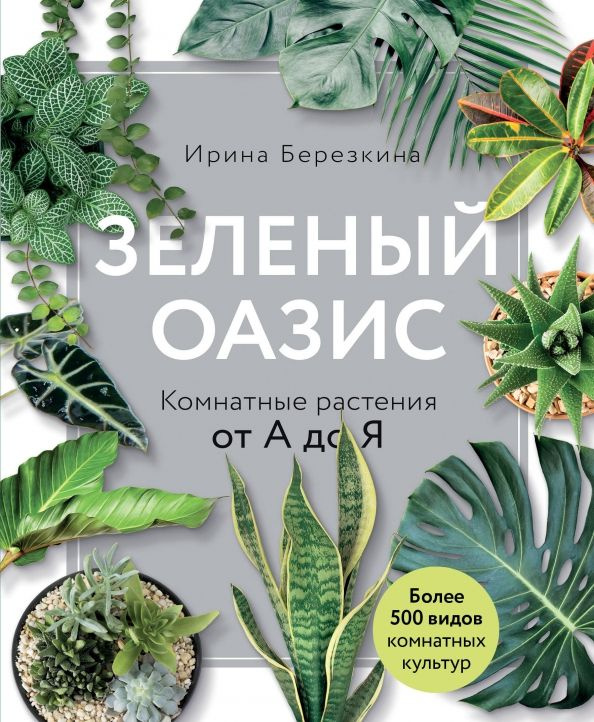 Зеленый оазис. Комнатные растения от А до Я | Березкина Ирина Валентиновна  #1