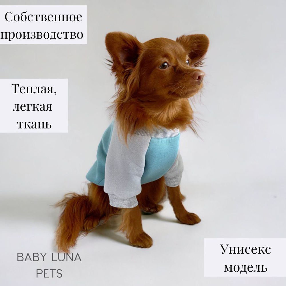 Толстовка для собак и кошек мелких и средних пород Baby Luna Pets  #1