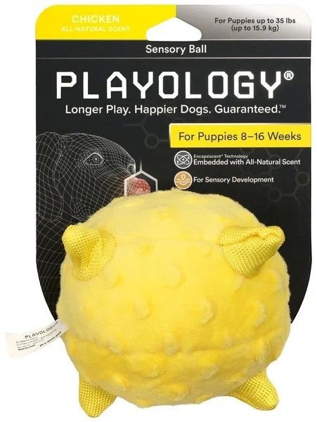 PLAYOLOGY сенсорный плюшевый мяч для щенков PUPPY SENSORY BALL 11 см с ароматом курицы.  #1