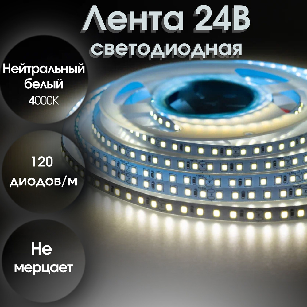 SeaStar Светодиодная лента, 24 , IP20, 120 LED/m #1