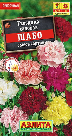 Гвоздика садовая ШАБО Аэлита изящная смесь ярких махровых гвоздик с чудесным ароматом, цветение обильное #1