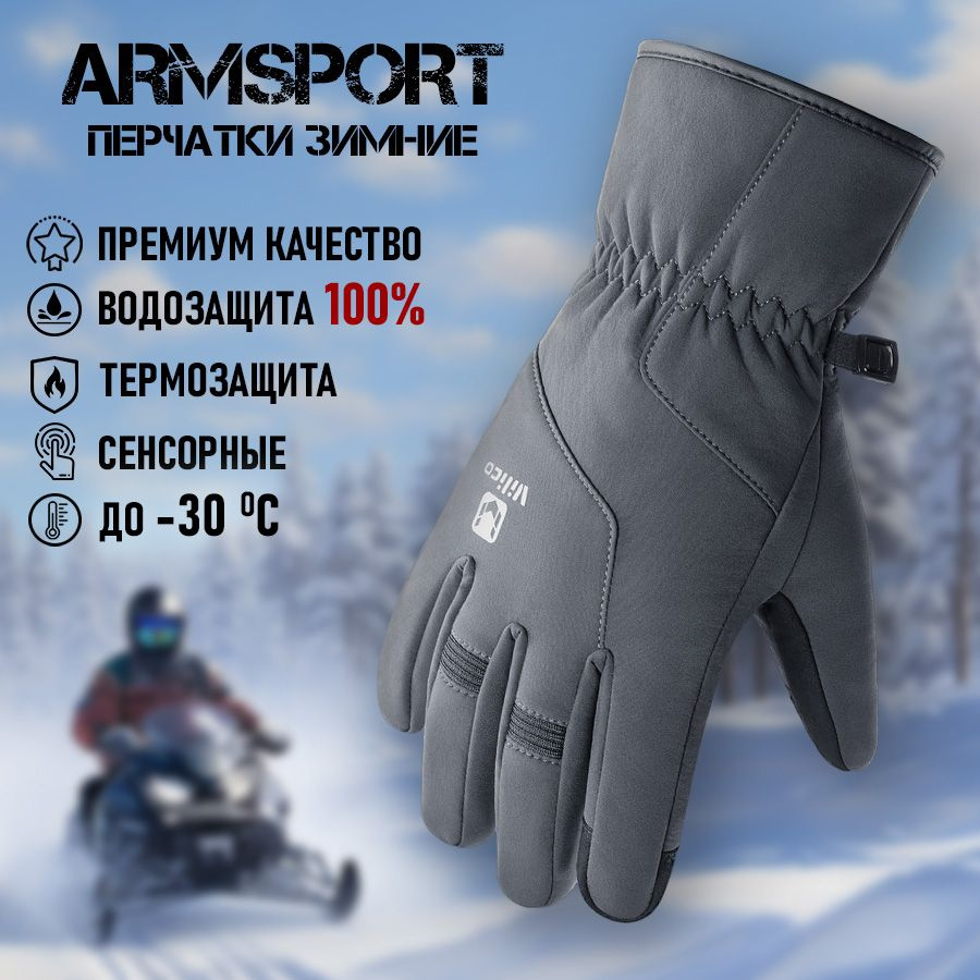 Перчатки мужские зимние горнолыжные мотоциклетные Armsport, серые  #1