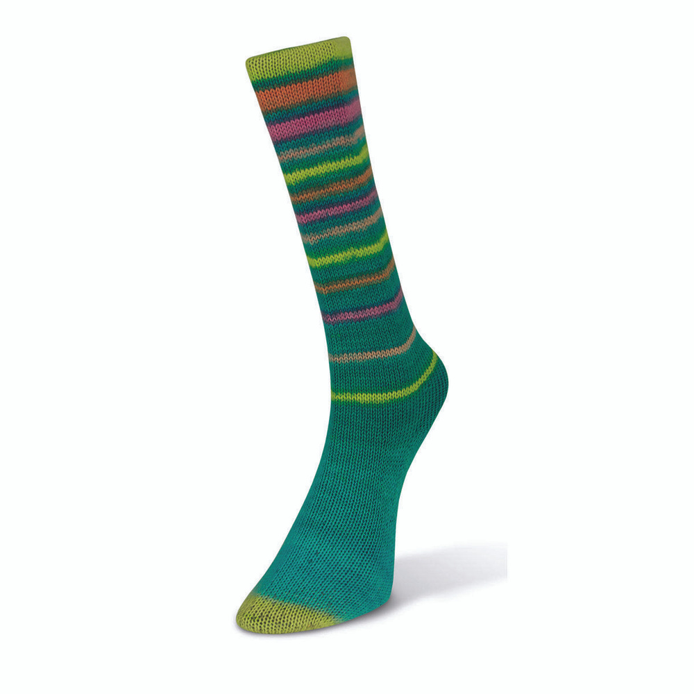 Пряжа Infinity Sock Laines Du Nord - 1 моток (100 гр, 420 м), цвет 013 #1