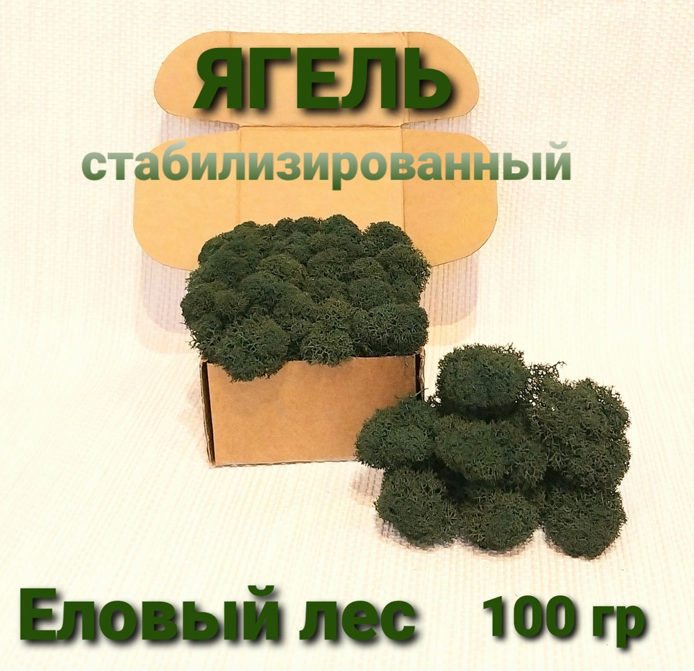 Сухоцветы Мох, 100 гр #1