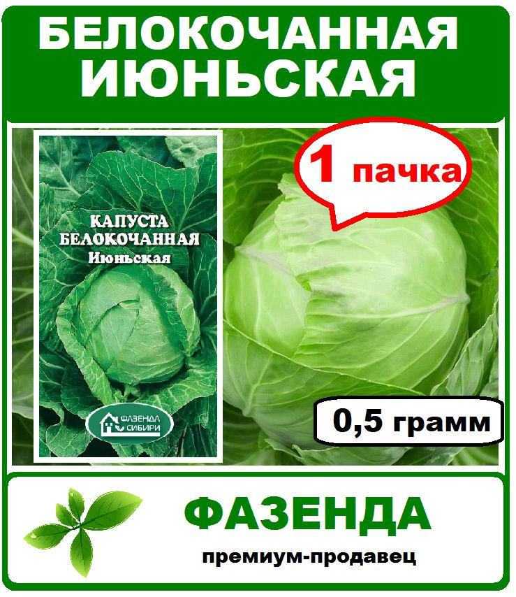 семена, капуста белокочанная Июньская F1, 1 пачка 0,5 гр. Фазенда Сибири  #1