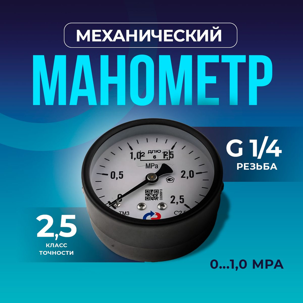 Манометр ТМ-310T.00 (0...2,5 МРа) G 1/4: класс точности -2,5 РОСМА #1