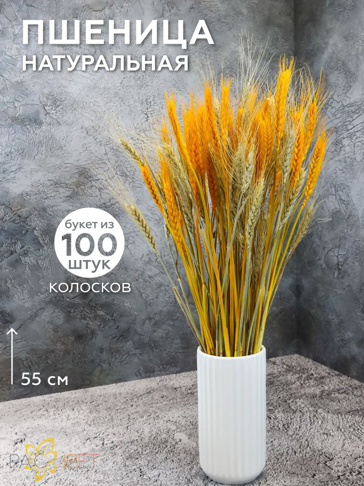 Сухоцветы для декора Пшеница, 100 шт, ассорти, высота 60 см  #1