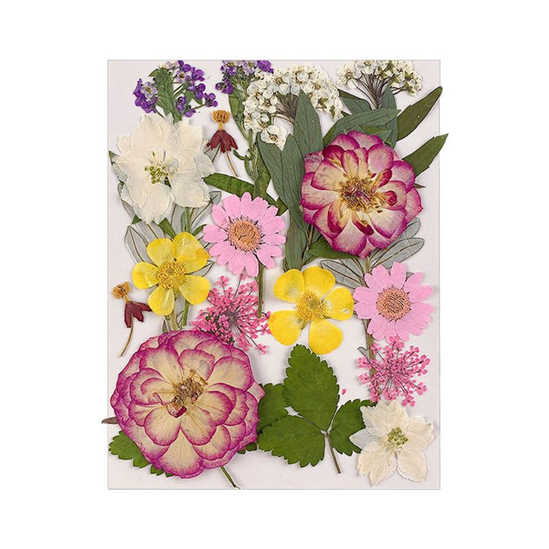Набор натуральных сухоцветов для творчества, декора,розовый 20 шт. / сухоцветы для изготовления украшений #1