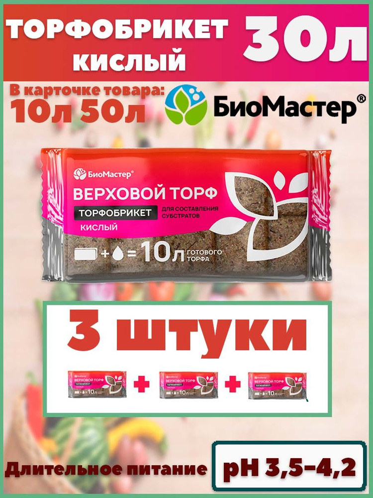 БиоМастер Торф фасованный #1