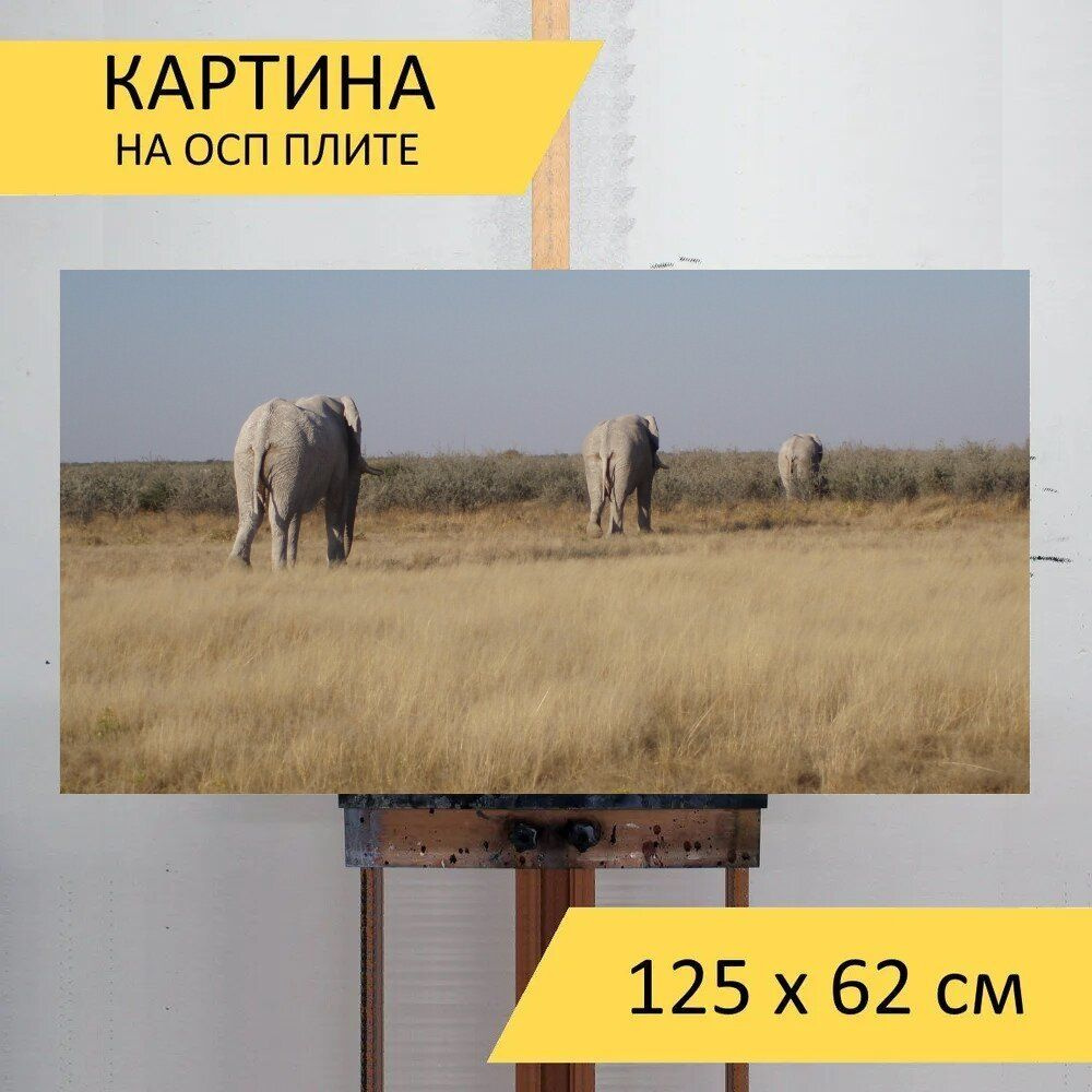 LotsPrints Картина "Слон, этоша, намибия 25", 125  х 62 см #1