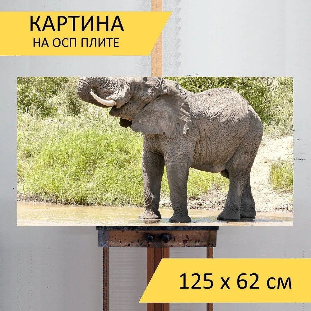 LotsPrints Картина "Слон, природа, опыт 04", 125  х 62 см #1