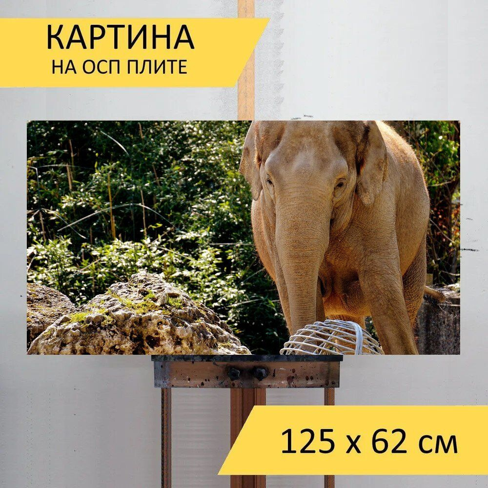 LotsPrints Картина "Слон, толстокожий, животное 17", 125  х 62 см #1