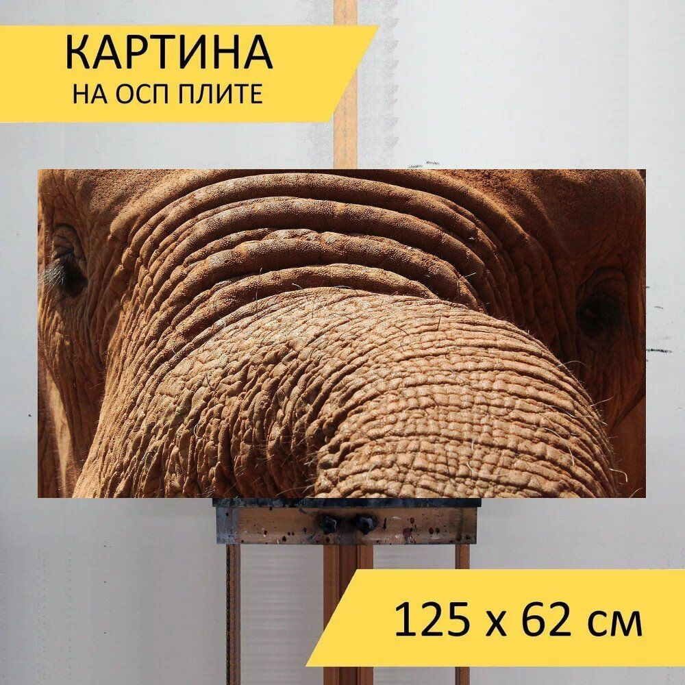 LotsPrints Картина "Слон, крупный план, ствол 43", 125  х 62 см #1