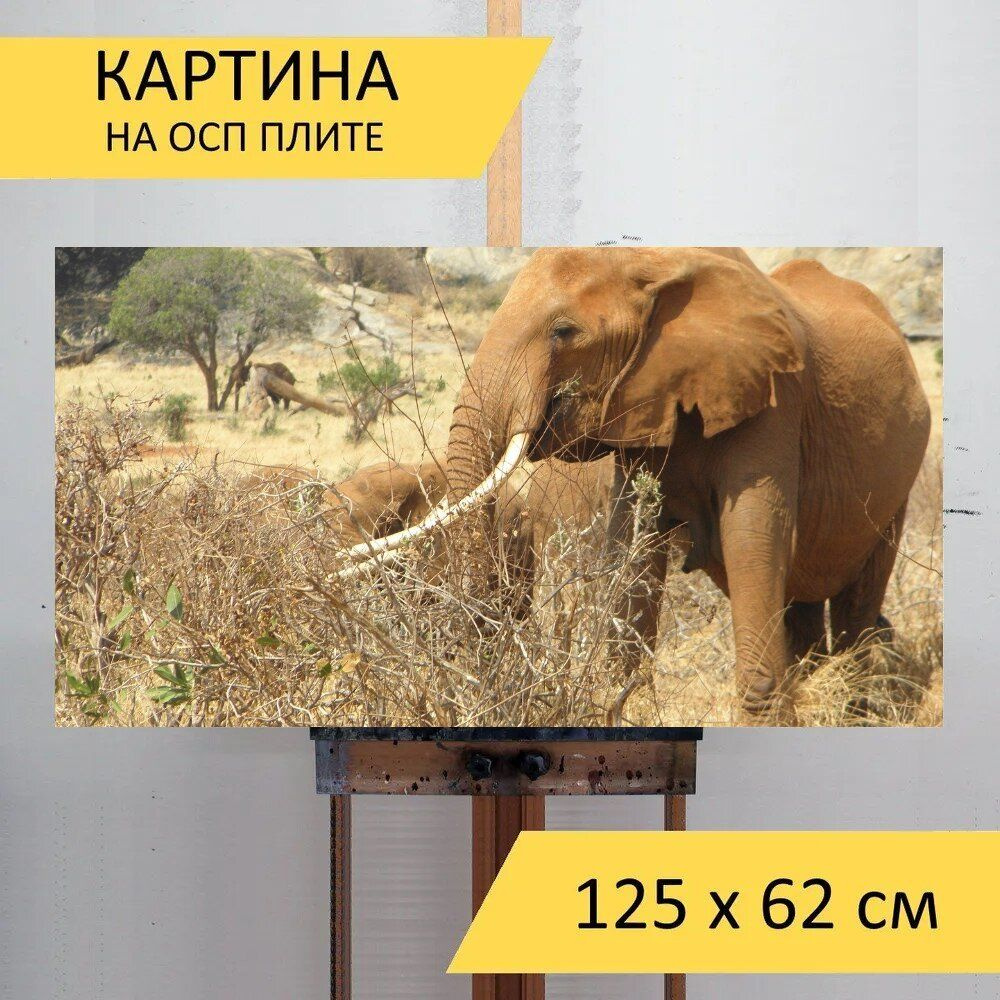 LotsPrints Картина "Слон, кения, африка 73", 125  х 62 см #1