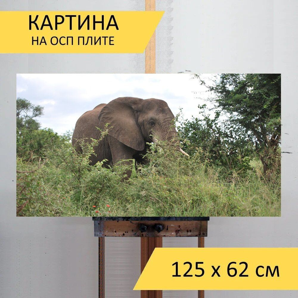 LotsPrints Картина "Слон, южная африка, сафари 24", 125  х 62 см #1