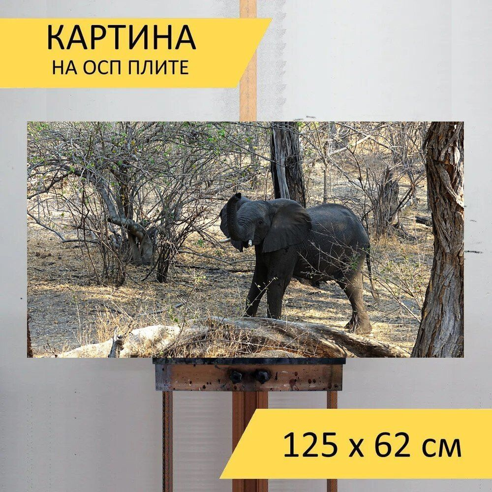LotsPrints Картина "Слон, ботсвана, сухость 70", 125  х 62 см #1