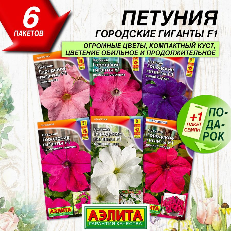 петуния городские гиганты f1. петуния городская f1 волшебница. петуния городские гиганты f1. петуния роуз энд уайт f1 махровая. петуния городские гиганты f1 пурпурная мантия.