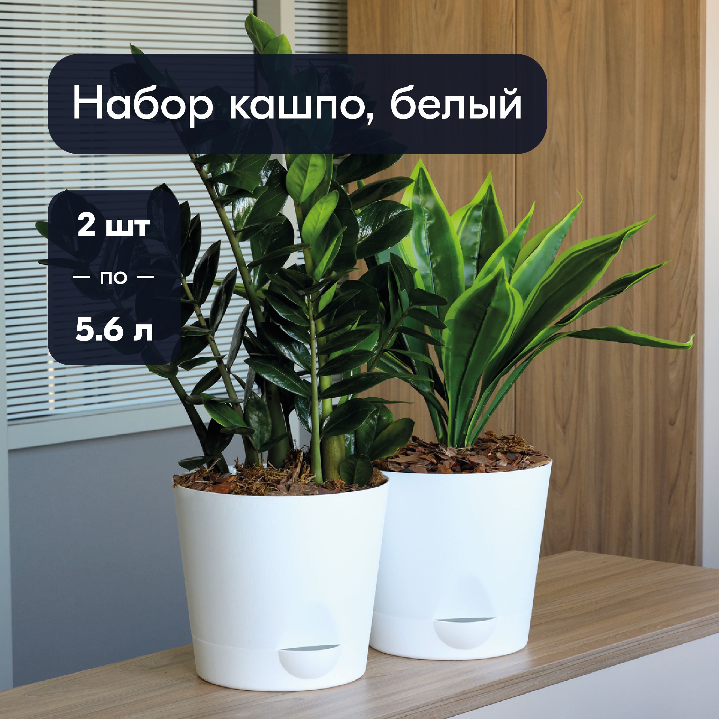 НаборкашпоИНТЕРМдляцветовирастений,савтополивом,2штпо5.6л,белый