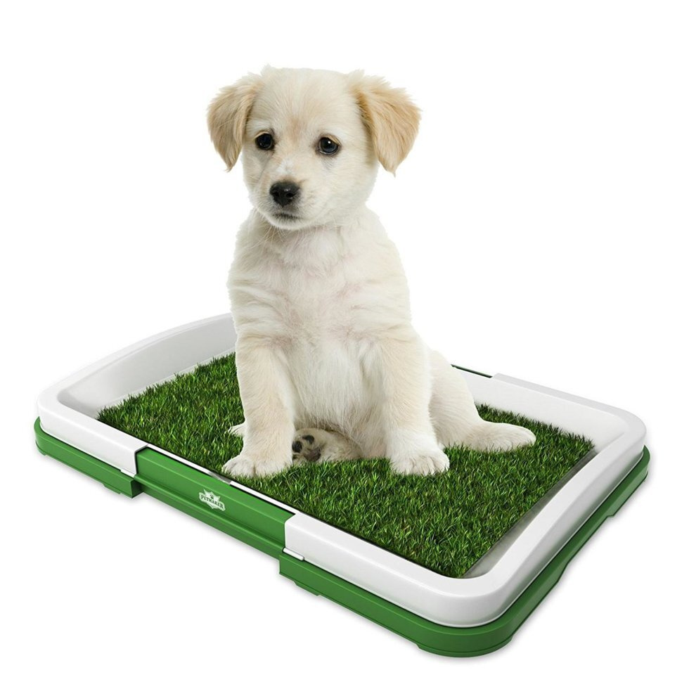 Туалет для собак Puppy Potty Pad с искусственной травой - купить с  доставкой по выгодным ценам в интернет-магазине OZON (1412701492)