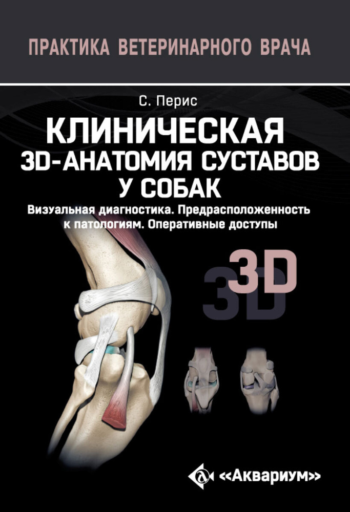 Клиническая 3D-Анатомия суставов у собак. Визуальная диагностика. Предрасположенность к патологиям. Оперативные #1