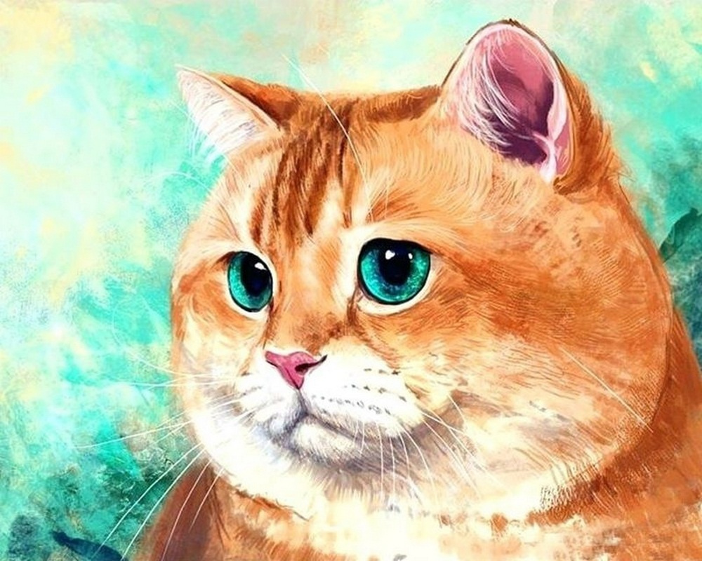 Картина по номерам на холсте с подрамником. 40x50: Colibri - кошки. Милый зеленоглазый котик  #1