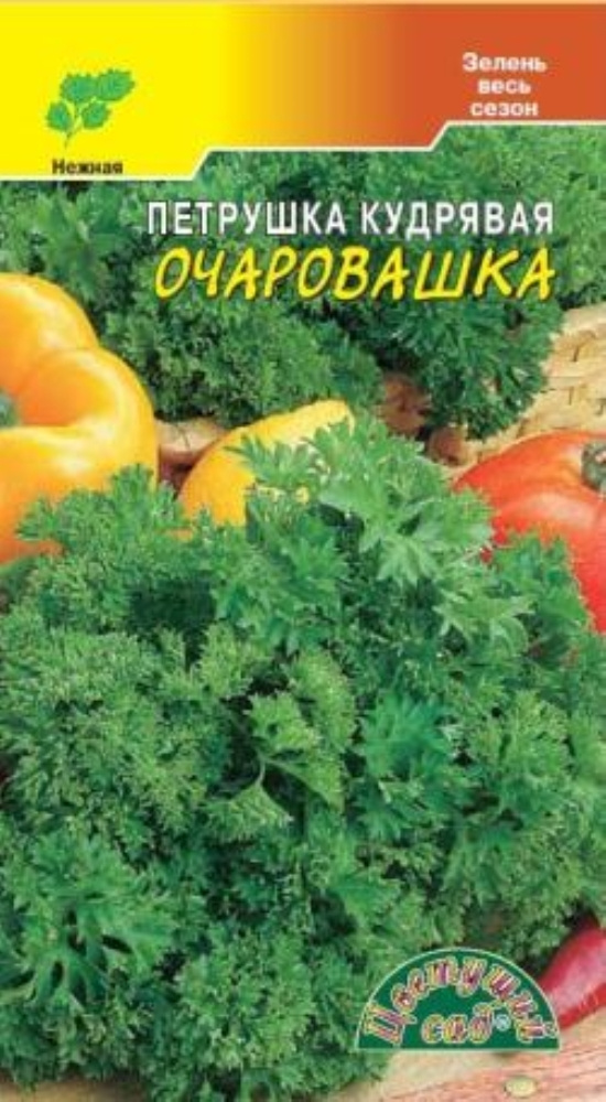 Петрушка Очаровашка кудрявая 2г Ранн (Цвет сад) #1