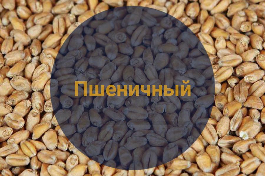 Солод БАЗОВЫЙ Soufflet "Malt De Ble, 2-5 EBC" (Суффле - Пшеничный), Франция, 20 кг, БЕЗ ПОМОЛА  #1