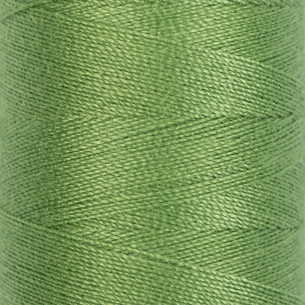 Нитки швейные "Gamma" 40/2 (4570м) №207 блекло-зеленый #1