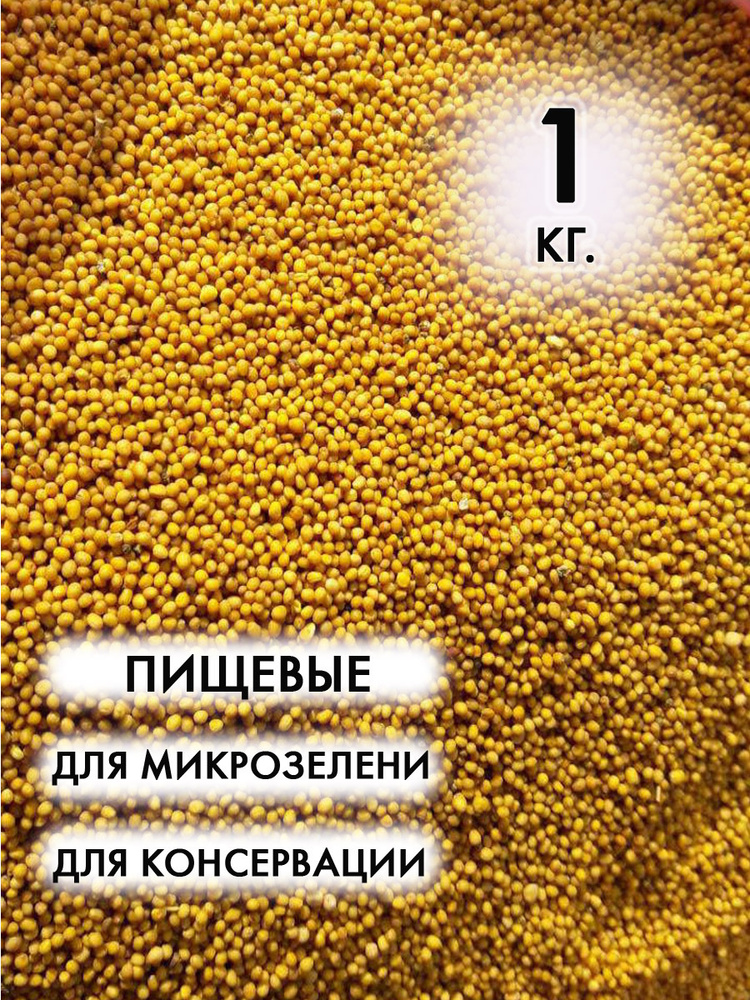 Семена горчицы целые пищевые 1 кг. Россия #1