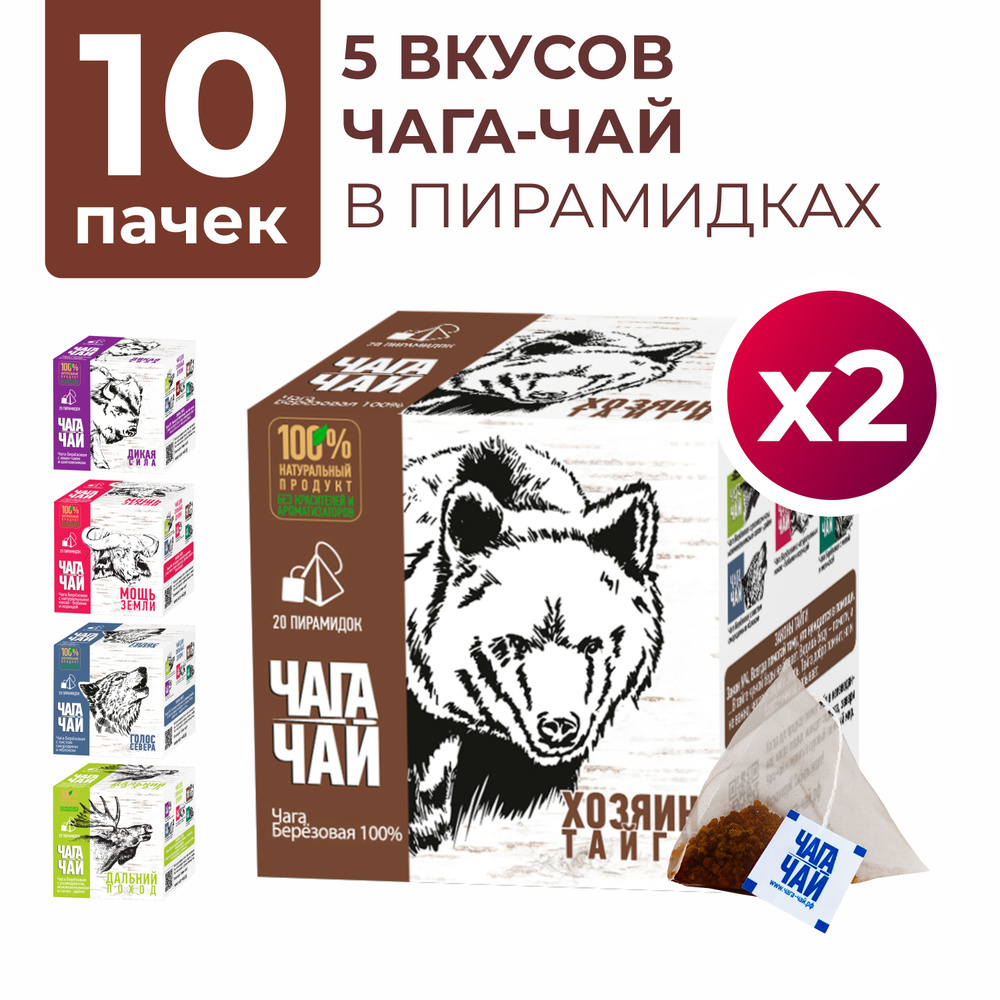 Чага чай в пирамидках, Ассорти из 5 вкусов (20 пирамидок по 2 г в каждом) 10 штук, набор натурального #1